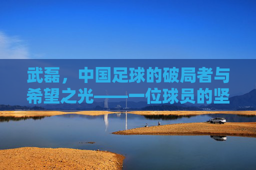 武磊,中国足球的破局者与希望之光——一位球员的坚持与国家荣誉的担当