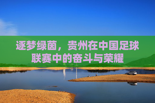 逐梦绿茵，贵州在中国足球联赛中的奋斗与荣耀