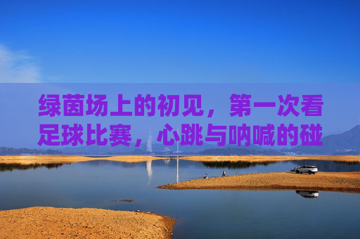绿茵场上的初见，第一次看足球比赛，心跳与呐喊的碰撞