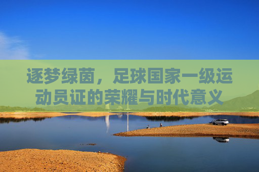 逐梦绿茵，足球国家一级运动员证的荣耀与时代意义