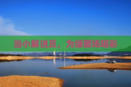 当小解说员，为绿茵场喝彩