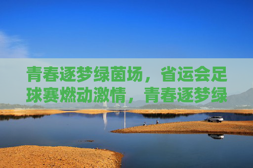 青春逐梦绿茵场，省运会足球赛燃动激情，青春逐梦绿茵场，省运会足球赛燃动激情