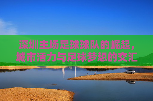 深圳主场足球球队的崛起,城市活力与足球梦想的交汇点