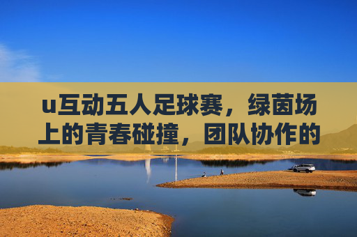 u互动五人足球赛，绿茵场上的青春碰撞，团队协作的激情绽放，u互动五人足球赛，绿茵场青春碰撞与团队协作的激情绽放