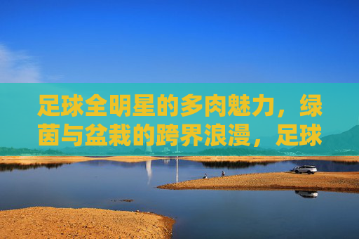 足球全明星的多肉魅力，绿茵与盆栽的跨界浪漫，足球全明星的多肉魅力，绿茵与盆栽的跨界浪漫