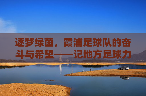 逐梦绿茵,霞浦足球队的奋斗与希望——记地方足球力量的小城故事,逐梦绿茵,霞浦足球队的奋斗与希望——记地方足球力量的小城故事