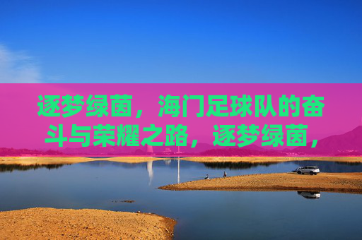 逐梦绿茵，海门足球队的奋斗与荣耀之路，逐梦绿茵，海门足球队的奋斗与荣耀之路