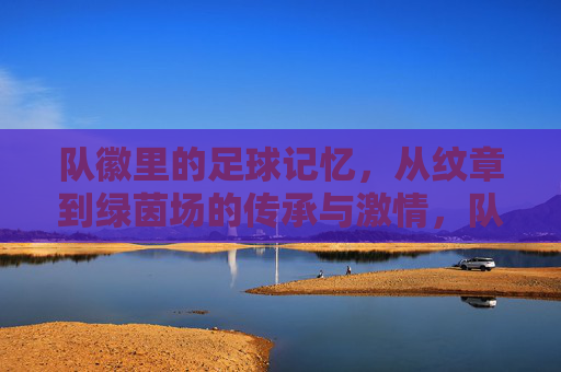 队徽里的足球记忆,从纹章到绿茵场的传承与激情,队徽里的足球记忆,从纹章到绿茵场的传承与激情