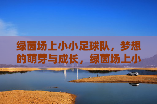 绿茵场上小小足球队，梦想的萌芽与成长，绿茵场上小小足球队的梦想萌芽与成长