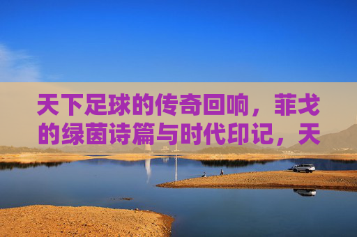 天下足球的传奇回响，菲戈的绿茵诗篇与时代印记，天下足球的传奇回响，菲戈的绿茵诗篇与时代印记
