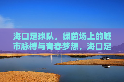 海口足球队，绿茵场上的城市脉搏与青春梦想，海口足球队，绿茵场上的城市脉搏与青春梦想