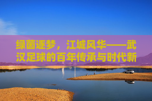 绿茵逐梦，江城风华——武汉足球的百年传承与时代新篇，绿茵逐梦，江城风华——武汉足球的百年传承与时代新篇