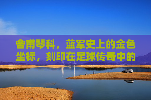 舍甫琴科,蓝军史上的金色坐标,刻印在足球传奇中的不朽篇章