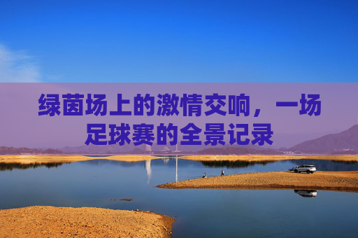 绿茵场上的激情交响,一场足球赛的全景记录