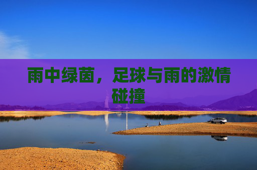雨中绿茵,足球与雨的激情碰撞