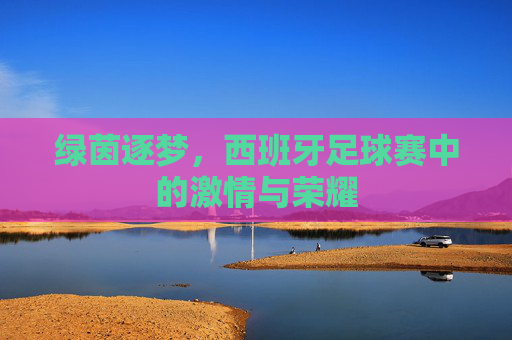 绿茵逐梦，西班牙足球赛中的激情与荣耀