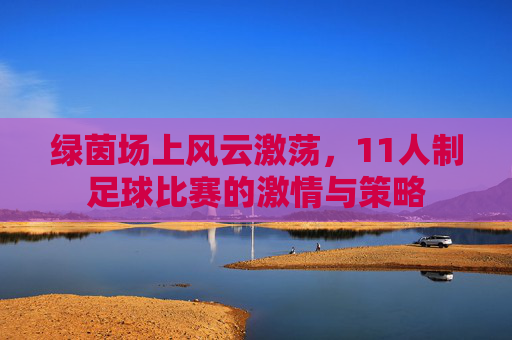 绿茵场上风云激荡，11人制足球比赛的激情与策略