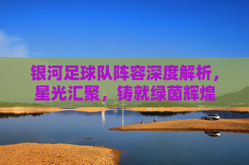 银河足球队阵容深度解析，星光汇聚，铸就绿茵辉煌