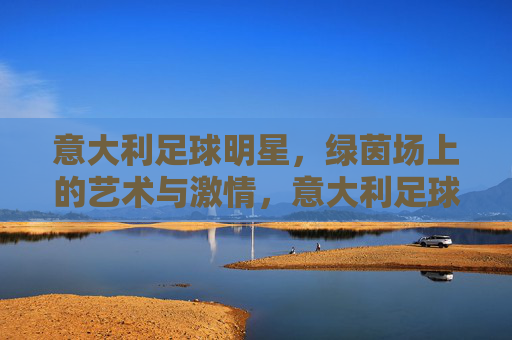 意大利足球明星，绿茵场上的艺术与激情，意大利足球明星，绿茵场上的艺术与激情