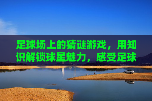 足球场上的猜谜游戏,用知识解锁球星魅力,感受足球的智慧与激情