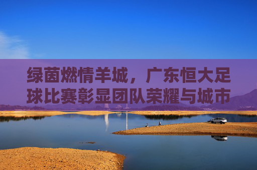 绿茵燃情羊城,广东恒大足球比赛彰显团队荣耀与城市共鸣