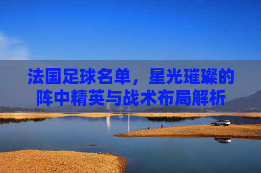 法国足球名单,星光璀璨的阵中精英与战术布局解析
