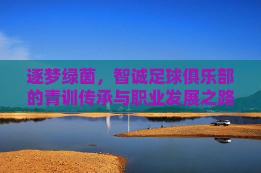 逐梦绿茵，智诚足球俱乐部的青训传承与职业发展之路