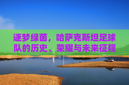 逐梦绿茵,哈萨克斯坦足球队的历史、荣耀与未来征程