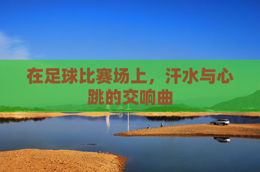 在足球比赛场上,汗水与心跳的交响曲