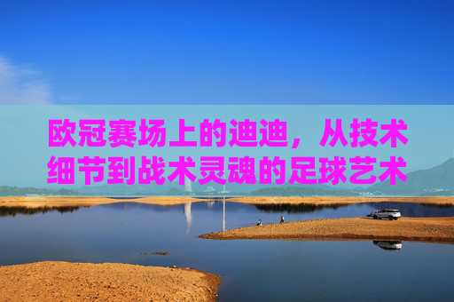 欧冠赛场上的迪迪，从技术细节到战术灵魂的足球艺术