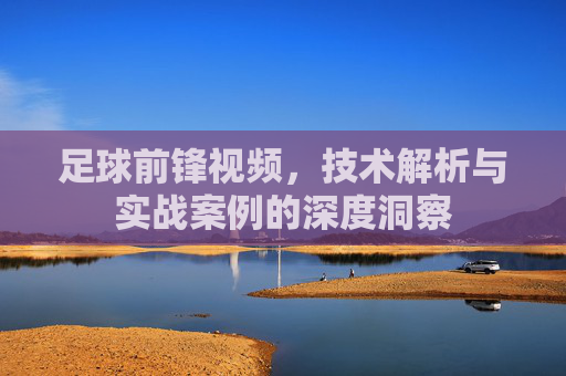足球前锋视频，技术解析与实战案例的深度洞察