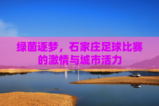 绿茵逐梦,石家庄足球比赛的激情与城市活力