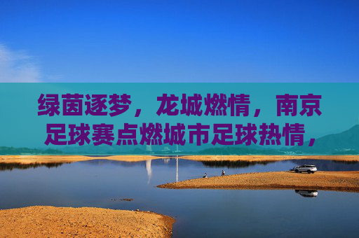 绿茵逐梦，龙城燃情，南京足球赛点燃城市足球热情，绿茵逐梦，龙城燃情，南京足球赛点燃城市足球热情