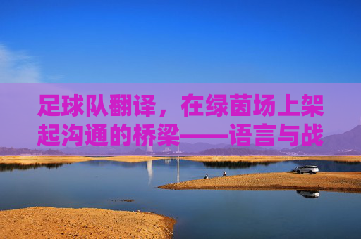足球队翻译，在绿茵场上架起沟通的桥梁——语言与战术的交汇点