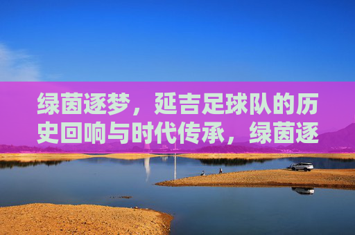 绿茵逐梦，延吉足球队的历史回响与时代传承，绿茵逐梦，延吉足球队的历史回响与时代传承
