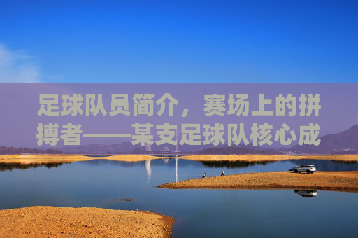 足球队员简介，赛场上的拼搏者——某支足球队核心成员风采与团队精神，足球队员简介，赛场上的拼搏者——某支足球队核心成员风采与团队精神