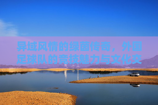 异域风情的绿茵传奇，外国足球队的竞技魅力与文化交融