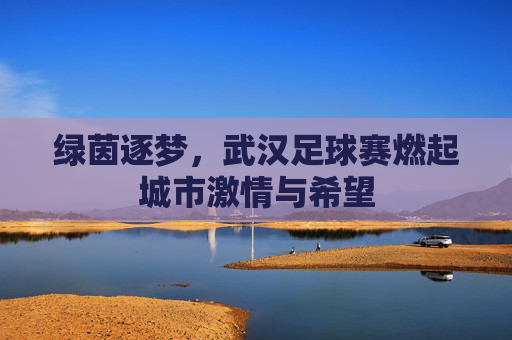 绿茵逐梦，武汉足球赛燃起城市激情与希望