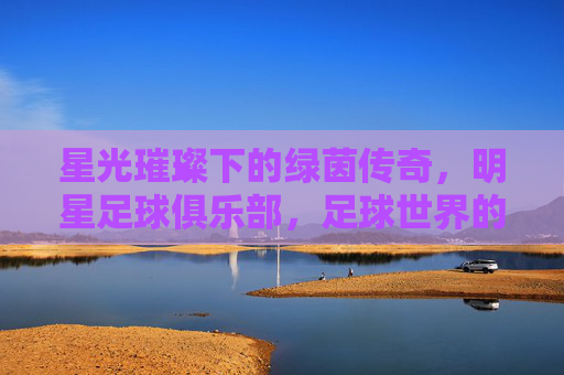 星光璀璨下的绿茵传奇，明星足球俱乐部，足球世界的璀璨名片