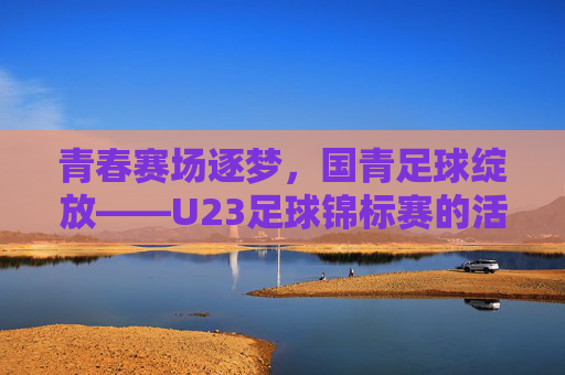 青春赛场逐梦,国青足球绽放——U23足球锦标赛的活力与荣耀,青春赛场逐梦,国青足球绽放——U23足球锦标赛的活力与荣耀