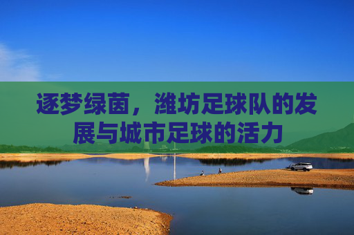 逐梦绿茵,潍坊足球队的发展与城市足球的活力