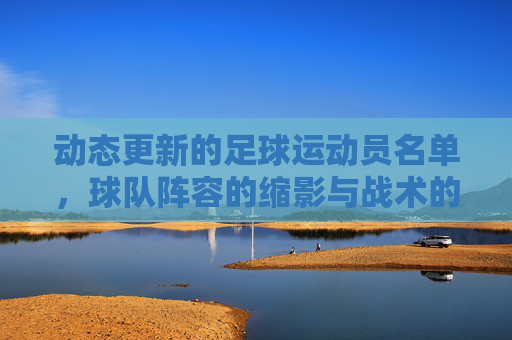 动态更新的足球运动员名单，球队阵容的缩影与战术的密码