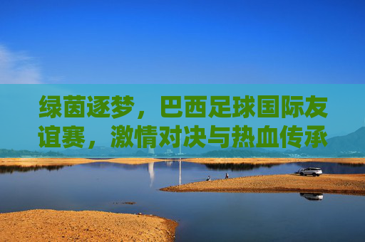 绿茵逐梦,巴西足球国际友谊赛,激情对决与热血传承