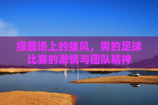 绿茵场上的雄风，男的足球比赛的激情与团队精神