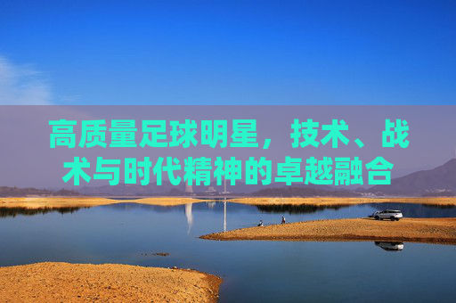 高质量足球明星,技术、战术与时代精神的卓越融合