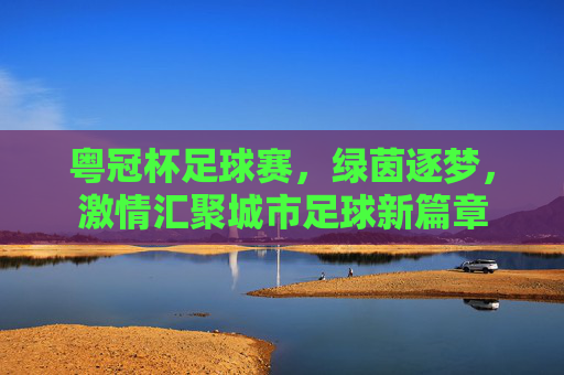 粤冠杯足球赛，绿茵逐梦，激情汇聚城市足球新篇章