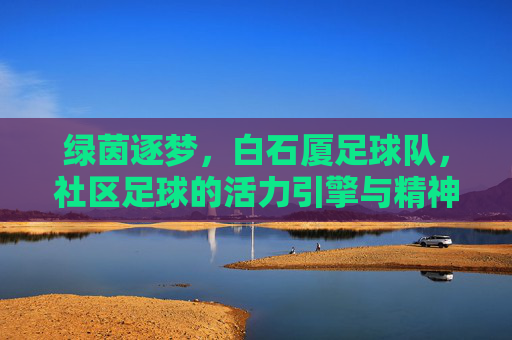 绿茵逐梦,白石厦足球队,社区足球的活力引擎与精神传承