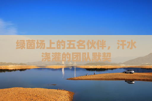 绿茵场上的五名伙伴,汗水浇灌的团队默契