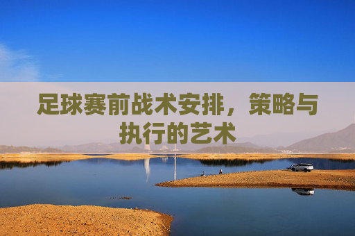 足球赛前战术安排,策略与执行的艺术