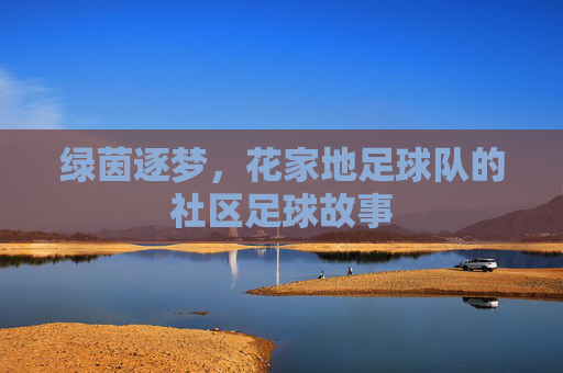 绿茵逐梦,花家地足球队的社区足球故事